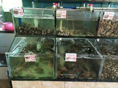 -叶姐海鲜(棋子湾店)