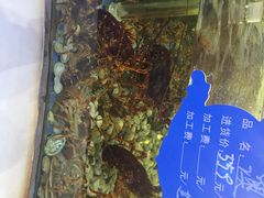 海鲜码头-海鲜码头