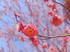 -颐景园