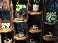 -慢丽江·云南野生菌土鸡锅(付家庄店)