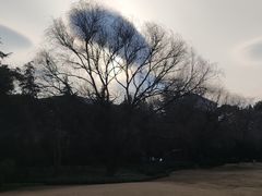 -耀江文鼎苑