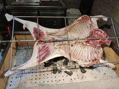 -蓝鲸湾汤泉(包河店)