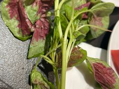 -额尔敦·品质自助(摩尔城店)