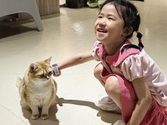 -藏猫猫咖啡主题馆(中央大道店)