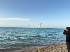 -青海湖国家重点风景名胜区