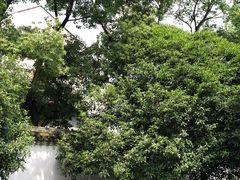-蒋氏故居