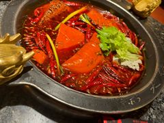 -蜀大侠火锅(总府路店)
