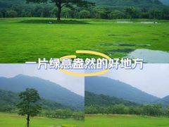 -风云岭森林公园