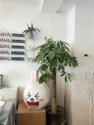 -眉可丽MEIKELI半永久纹眉