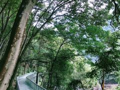 -龙湾潭国家森林公园
