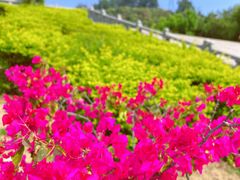-凤凰山公园-龙王古庙