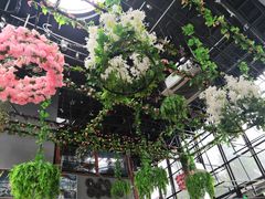 -聚缘·湘味音乐餐厅party(罗湖店)