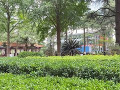 -中国人民解放军总医院