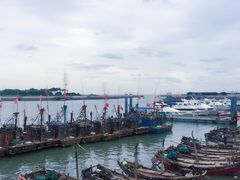 -日照世帆赛基地