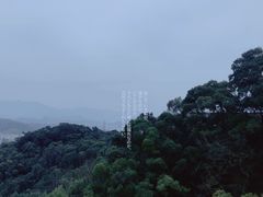 -福道