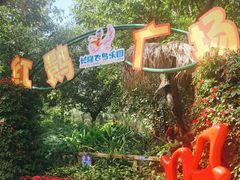 -广州长隆飞鸟乐园
