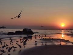 -老虎石海上公园