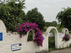 -金谷域澳洲庄园