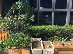 -随柳居·苏式小吃(建新巷店)