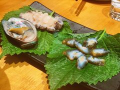 海参-松岛渔村(迎客路店)