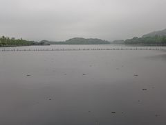 -西湖天地