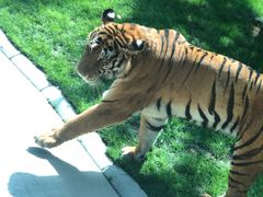 -北京野生动物园