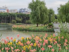 -南宁南湖公园