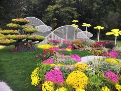 -上海共青森林公园