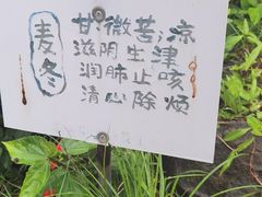 -丹樱生态园