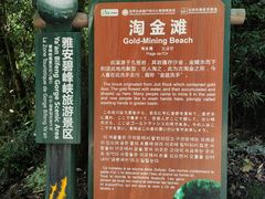 -碧峰峡风景区