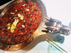 -雲蜀龙阁·金牌水煮鱼(方庄店)