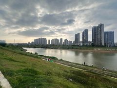 -洋湖国家湿地公园