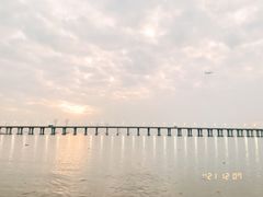 -宝安西湾红树林湿地公园