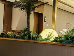 -宏宴·新京菜(望京店)