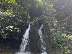 -南丹山森林王国