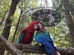 -北京野生动物园