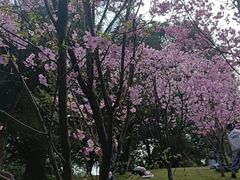 -南山植物园