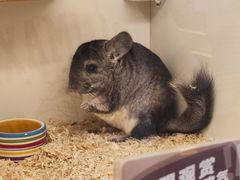 -龙猫仔乐园(惠福东路店)