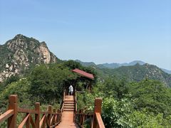 -大岭沟猕猴桃谷风景区