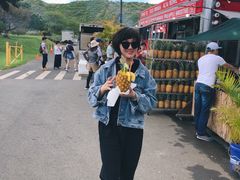 -夏威夷珍珠港
