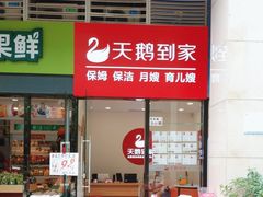 -天鹅到家·保姆月嫂育儿嫂(蔚蓝海岸店)