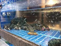 -海鲜潮·株洲海鲜集市(栗雨店)