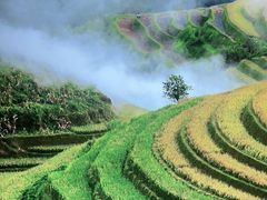 -湘邻呷铺·田园家宴(汉基广场店)