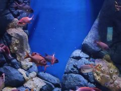 -成都浩海立方海洋公园