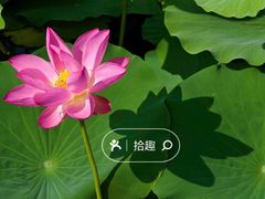 -陶然亭公园