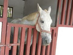 -杭州湾海上花田景区
