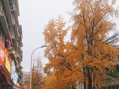 -奎星楼街