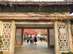 -西湖外事游船(花港观鱼码头)