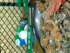 -大城·烧烤海鲜大排档(台东店)