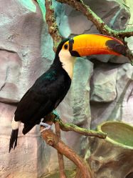 -Zoolung Zoolung动物主题公园(海信广场店)